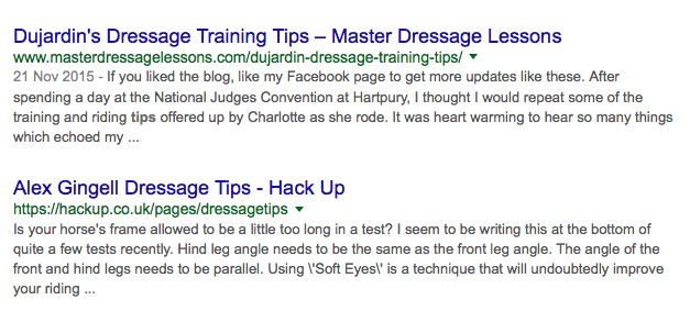 Alex\'s Dressage Tips now on Page 2 of Google